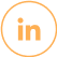 Icone Linkedin